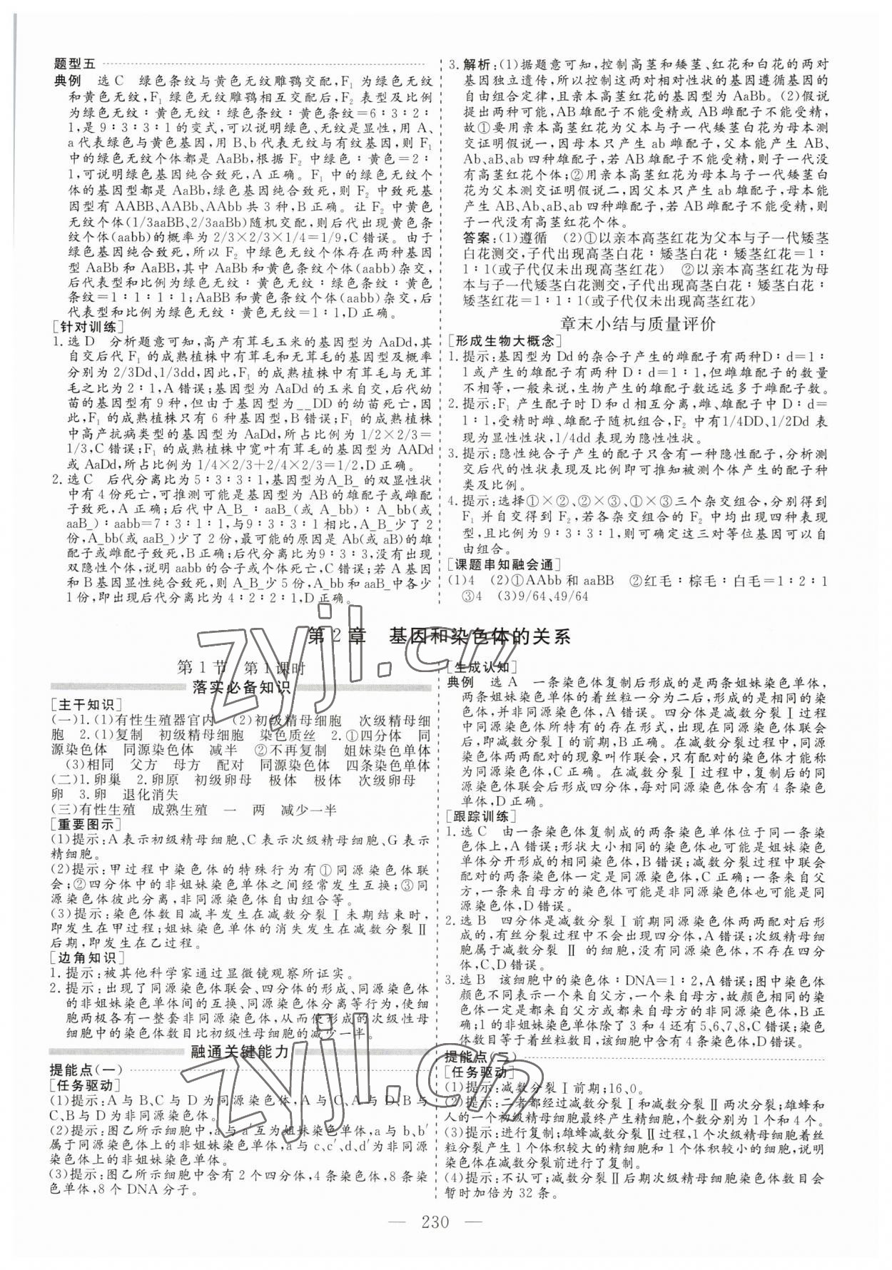 2023年新課程學(xué)案高中同步導(dǎo)學(xué)高中生物必修2 第6頁(yè)