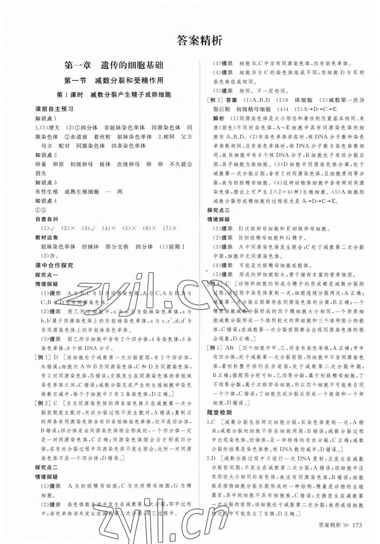 2023年創(chuàng)新設計生物必修2蘇教版遺傳與進化 參考答案第8頁