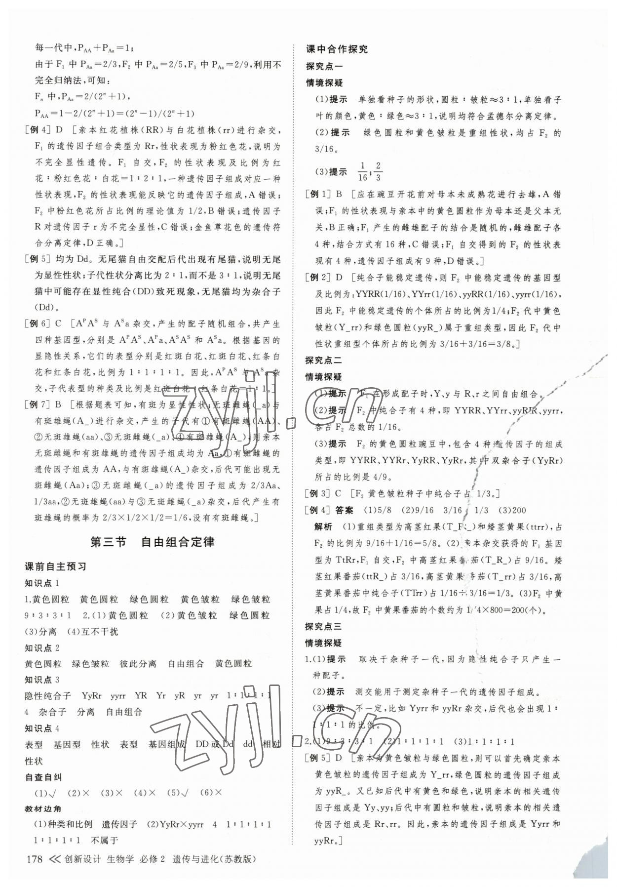 2023年創(chuàng)新設(shè)計(jì)生物必修2蘇教版遺傳與進(jìn)化 參考答案第13頁