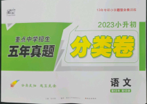 2023年重點(diǎn)中學(xué)招生分班五年真題分類(lèi)卷六年級(jí)語(yǔ)文人教版