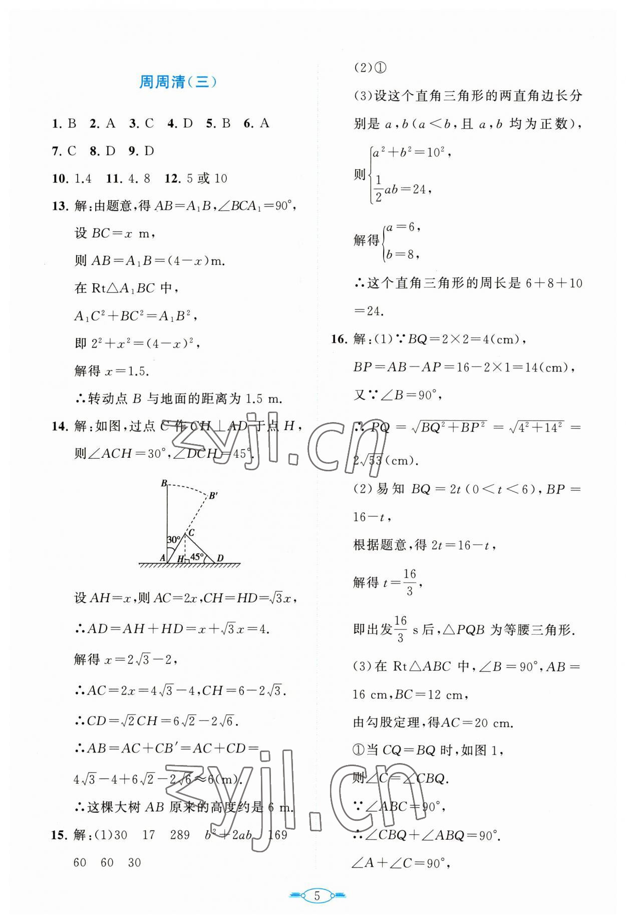 2023年课标新卷八年级数学下册人教版 第5页