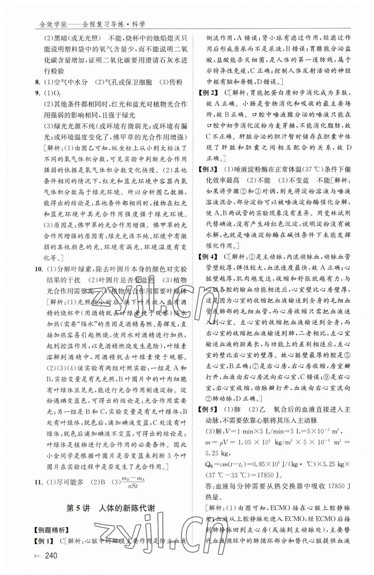 2023年全效學(xué)能全程復(fù)習(xí)導(dǎo)練中考科學(xué) 第6頁