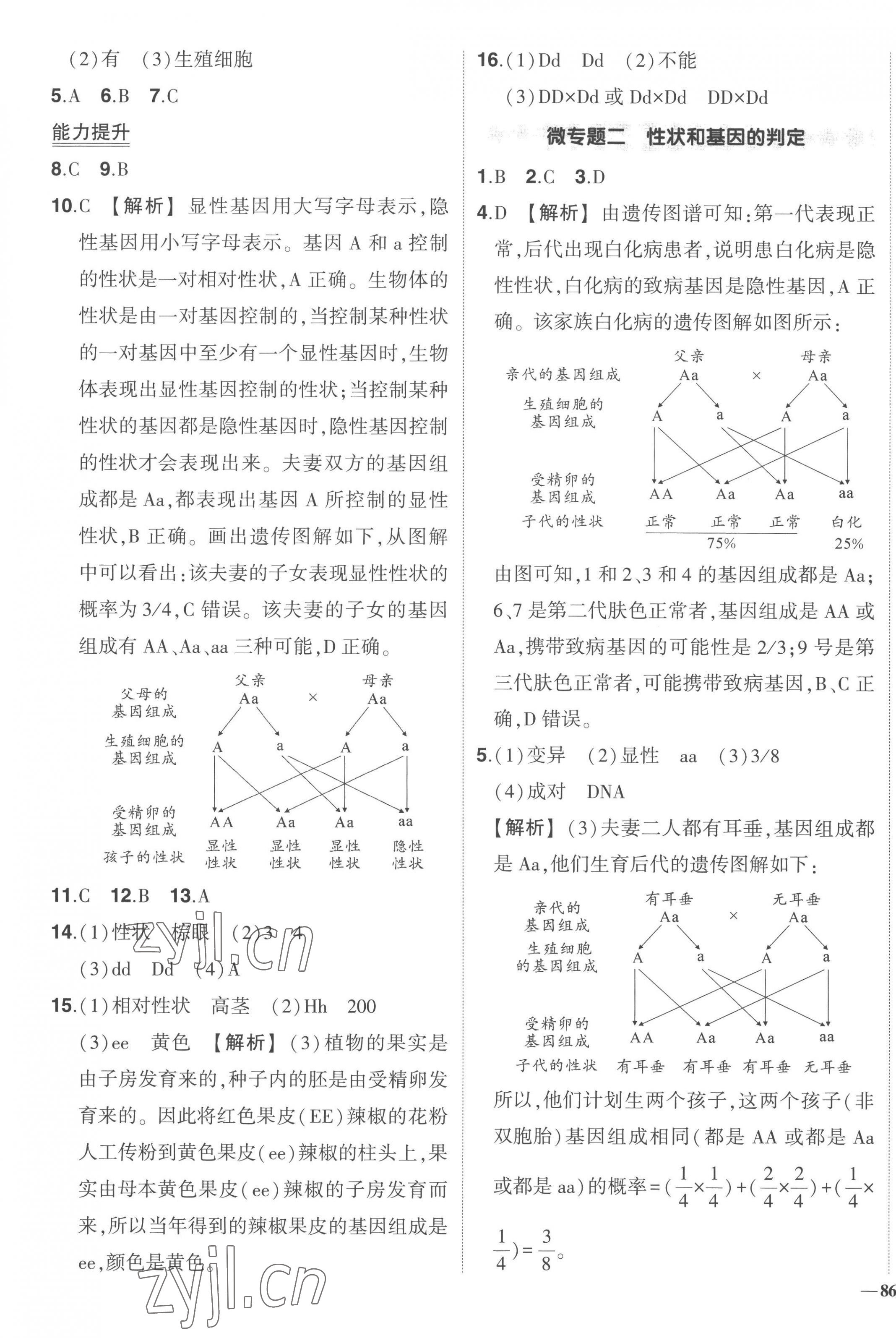 2023年?duì)钤刹怕穭?chuàng)優(yōu)作業(yè)八年級(jí)生物下冊(cè)人教版 第5頁(yè)