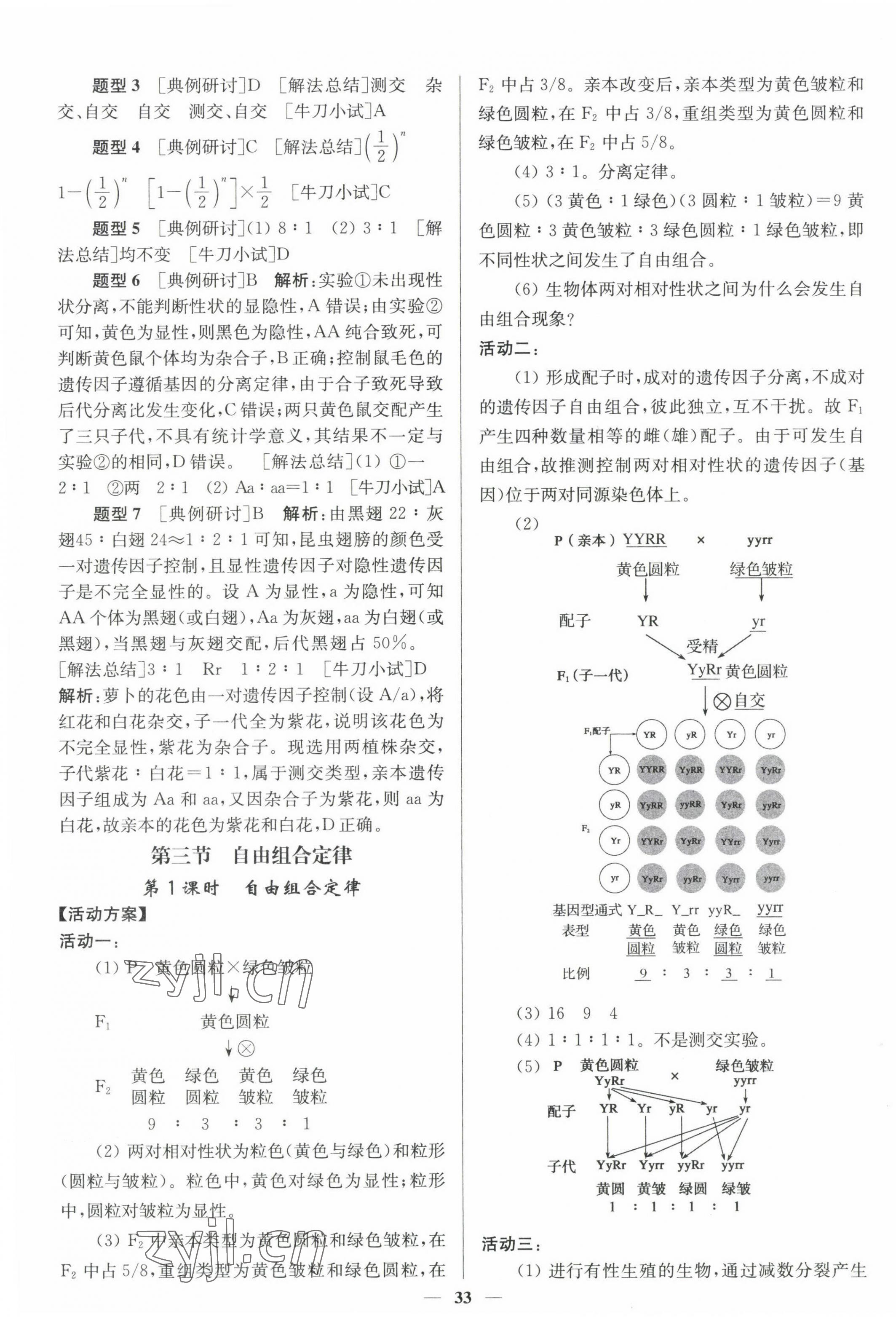 2023年活动单导学课程高中生物必修2苏教版 第5页