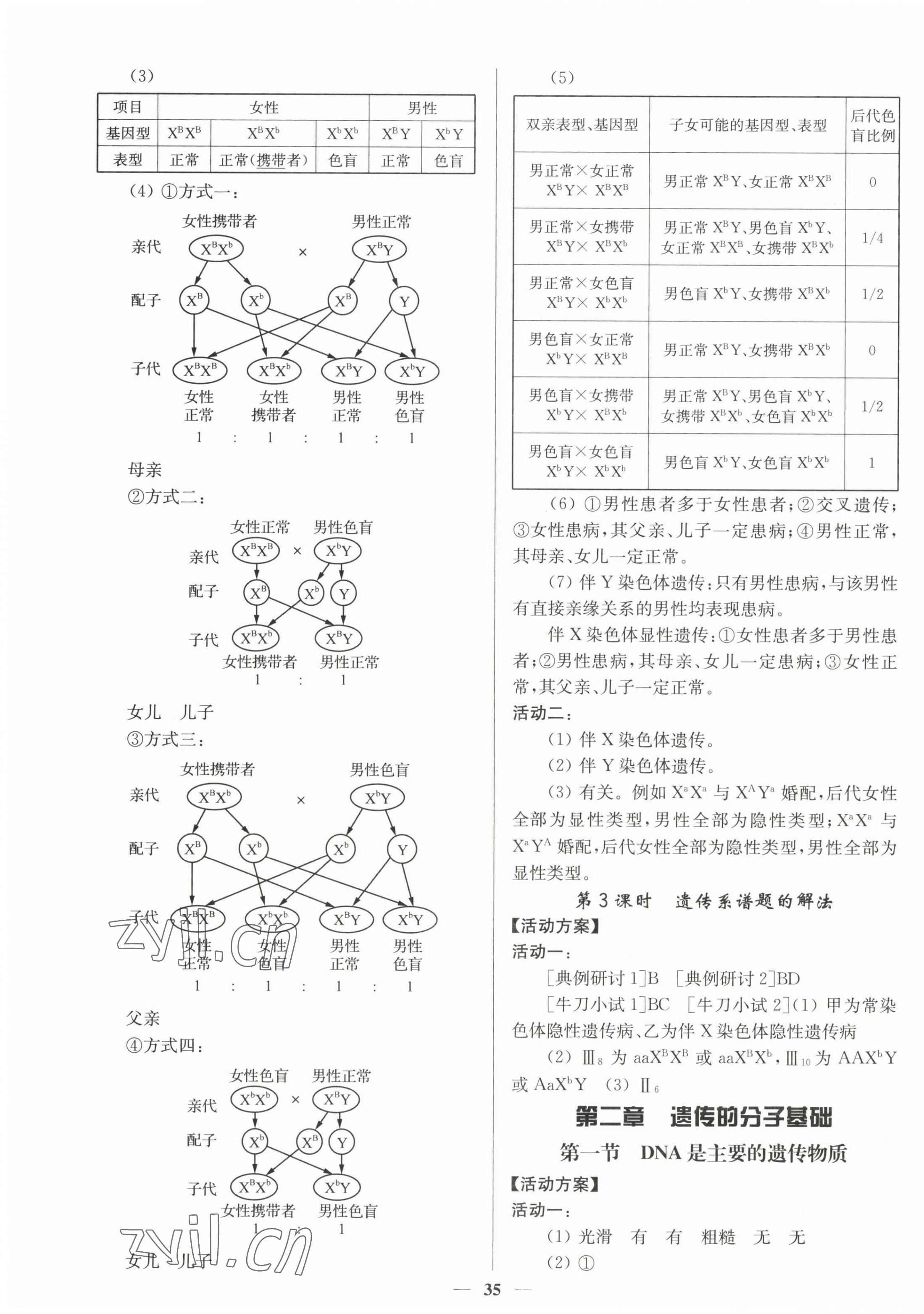 2023年活动单导学课程高中生物必修2苏教版 第7页