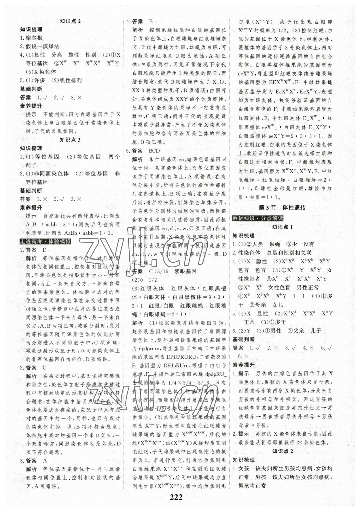 2023年高考調(diào)研衡水重點中學新教材同步學案生物必修2人教版 第8頁