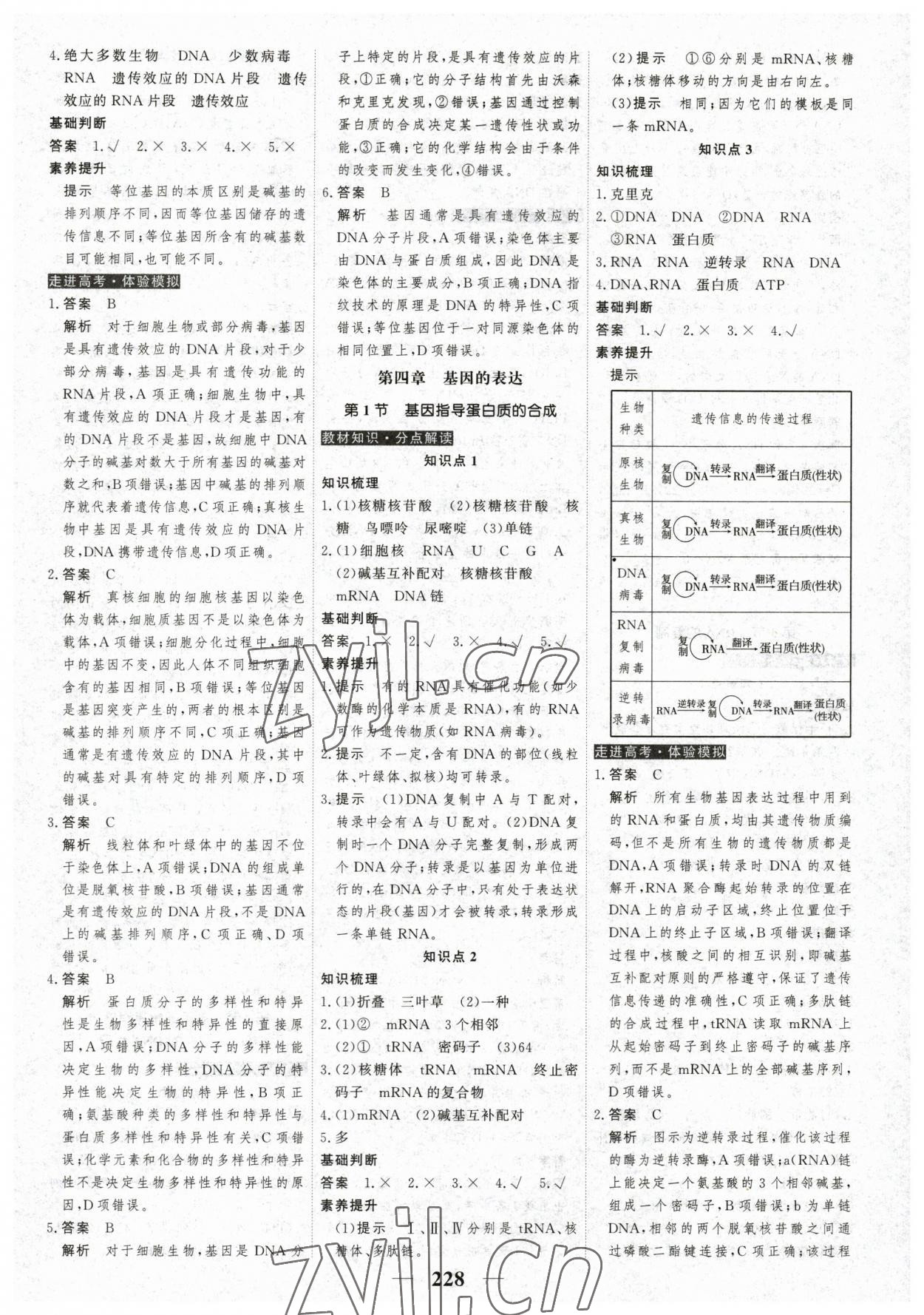 2023年高考調(diào)研衡水重點(diǎn)中學(xué)新教材同步學(xué)案生物必修2人教版 第14頁(yè)