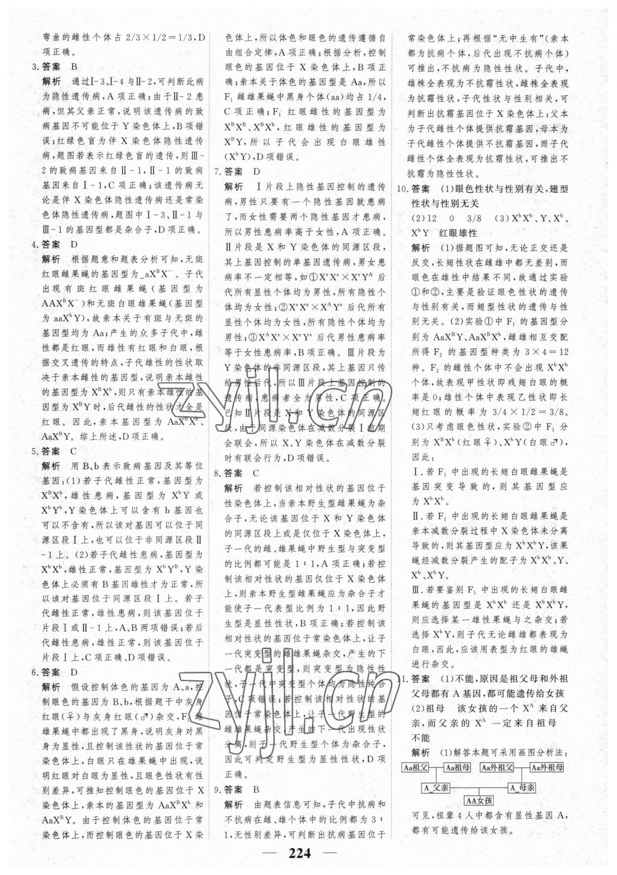 2023年高考調研衡水重點中學新教材同步學案生物必修2人教版 第10頁