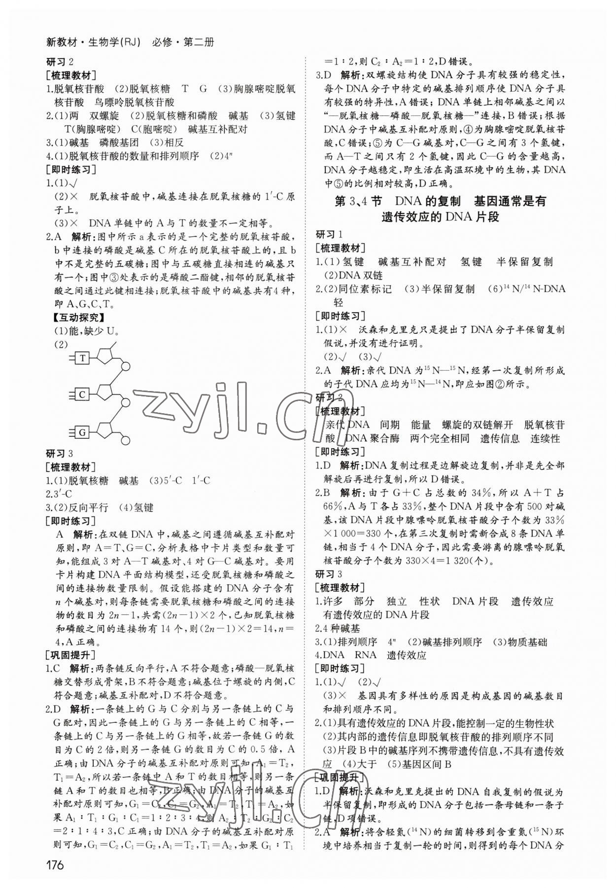 2023年名師伴你行高中同步導(dǎo)學(xué)案生物必修2人教版 參考答案第9頁