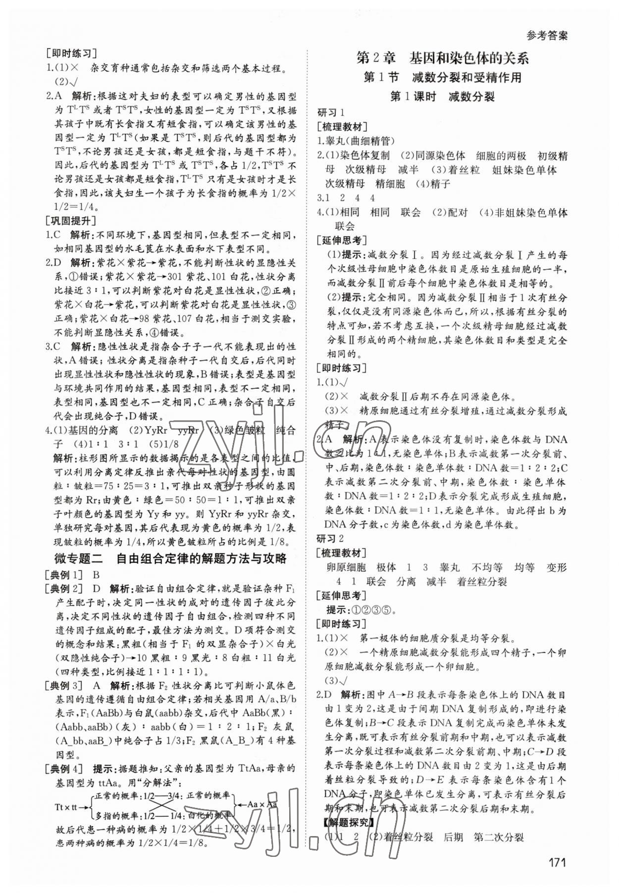 2023年名師伴你行高中同步導(dǎo)學(xué)案生物必修2人教版 參考答案第4頁