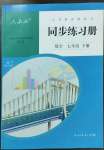 2023年同步練習(xí)冊(cè)人民教育出版社七年級(jí)數(shù)學(xué)下冊(cè)人教版新疆用