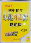 2023年初中化学小题狂做九年级下册人教版提优版