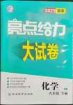 2023年亮點給力大試卷九年級化學(xué)下冊人教版