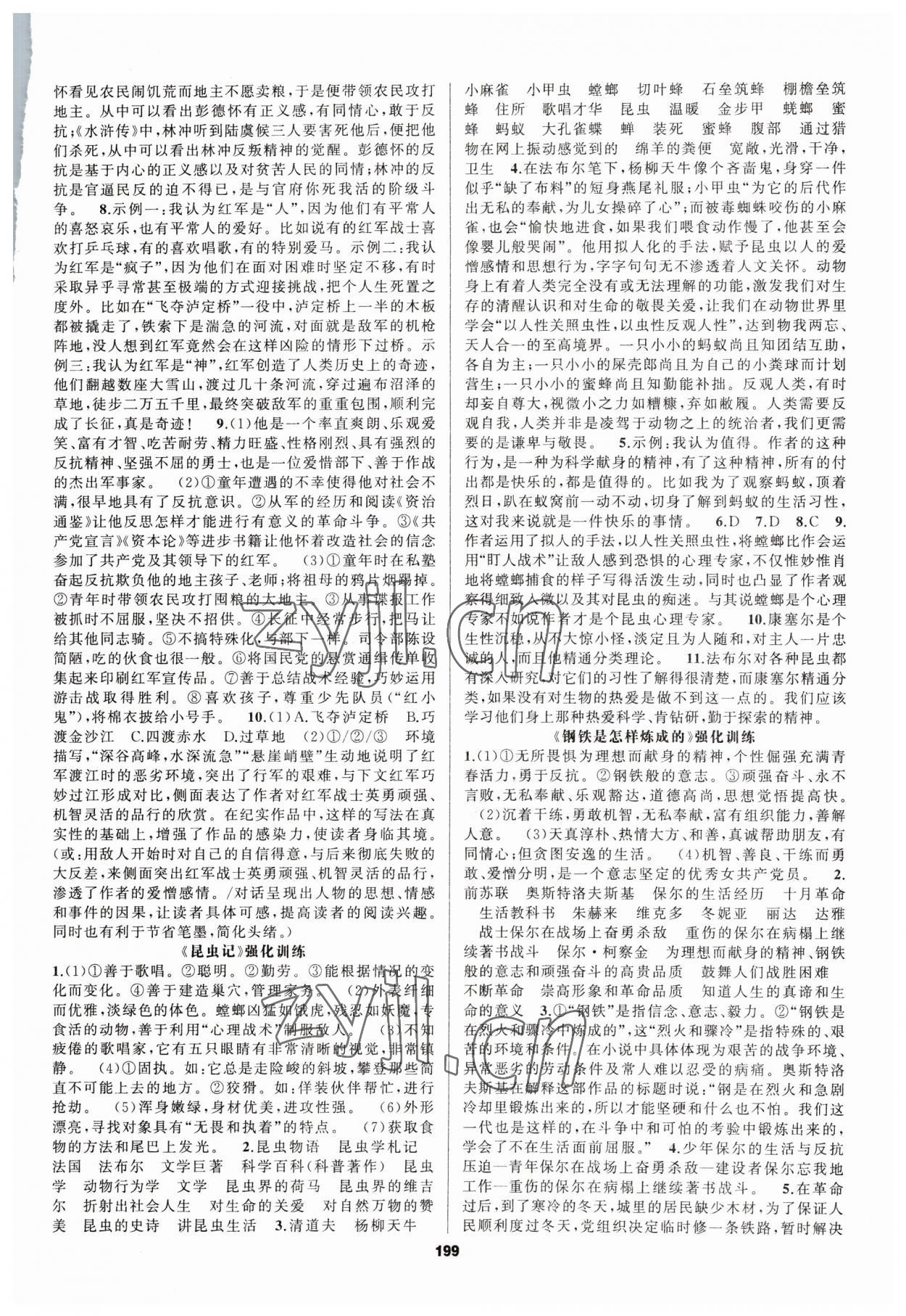 2023年名著高高手中考語(yǔ)文徐州專版 第3頁(yè)