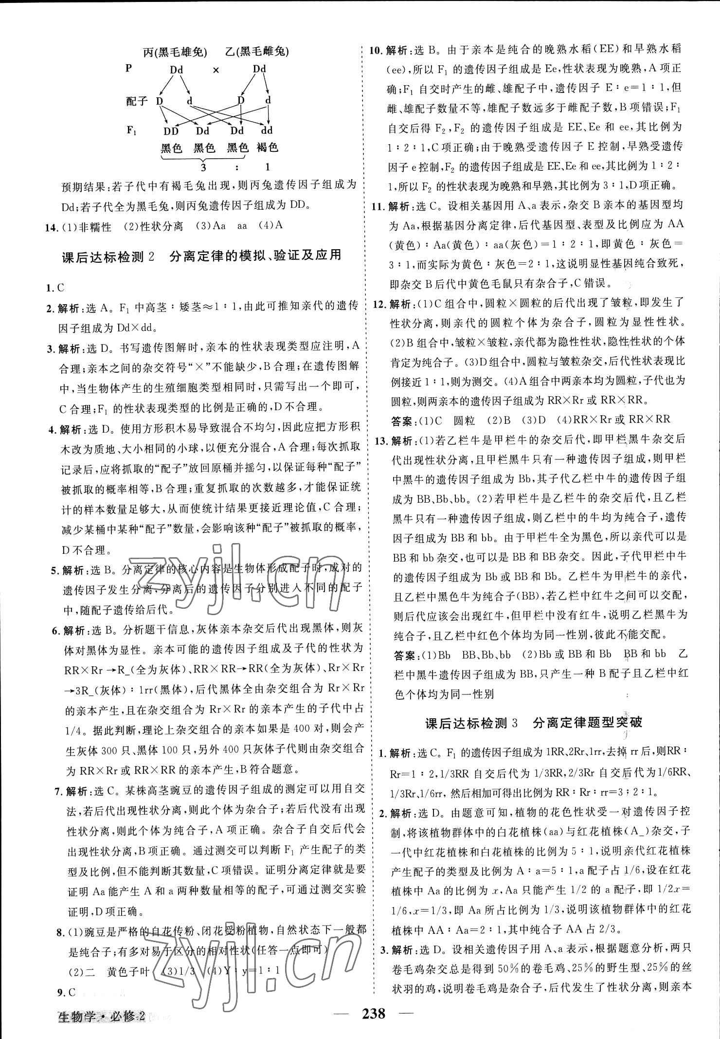 2023年高中同步創(chuàng)新課堂優(yōu)化方案生物必修第二冊人教版 參考答案第2頁