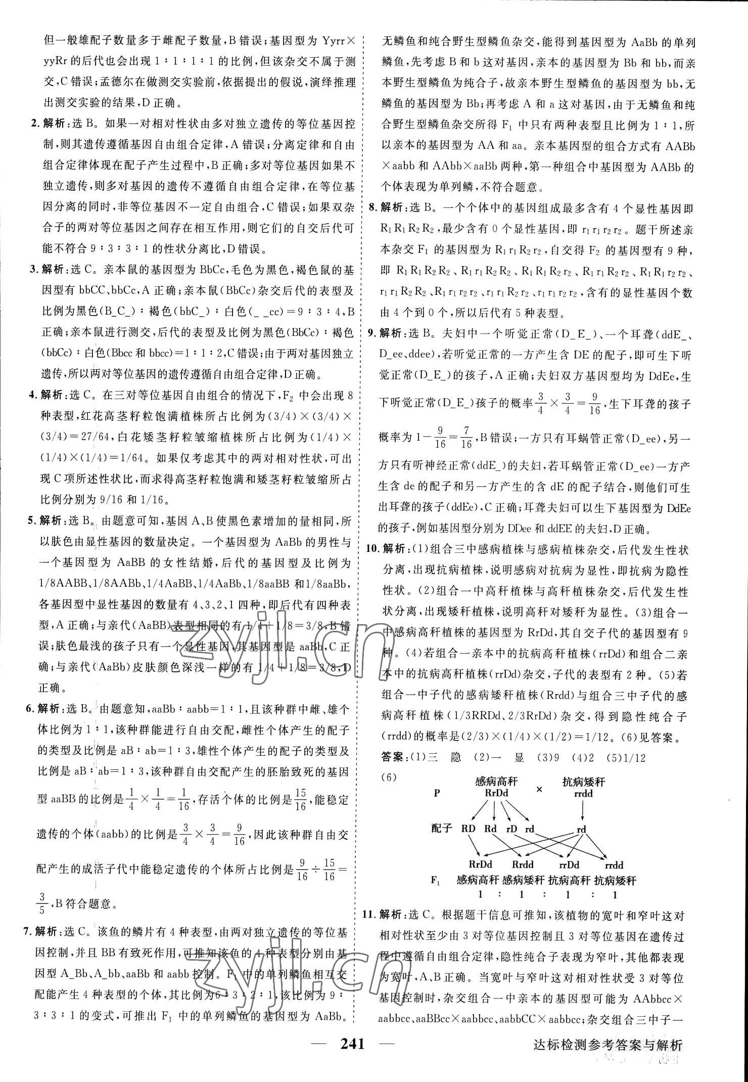 2023年高中同步創(chuàng)新課堂優(yōu)化方案生物必修第二冊(cè)人教版 參考答案第5頁(yè)