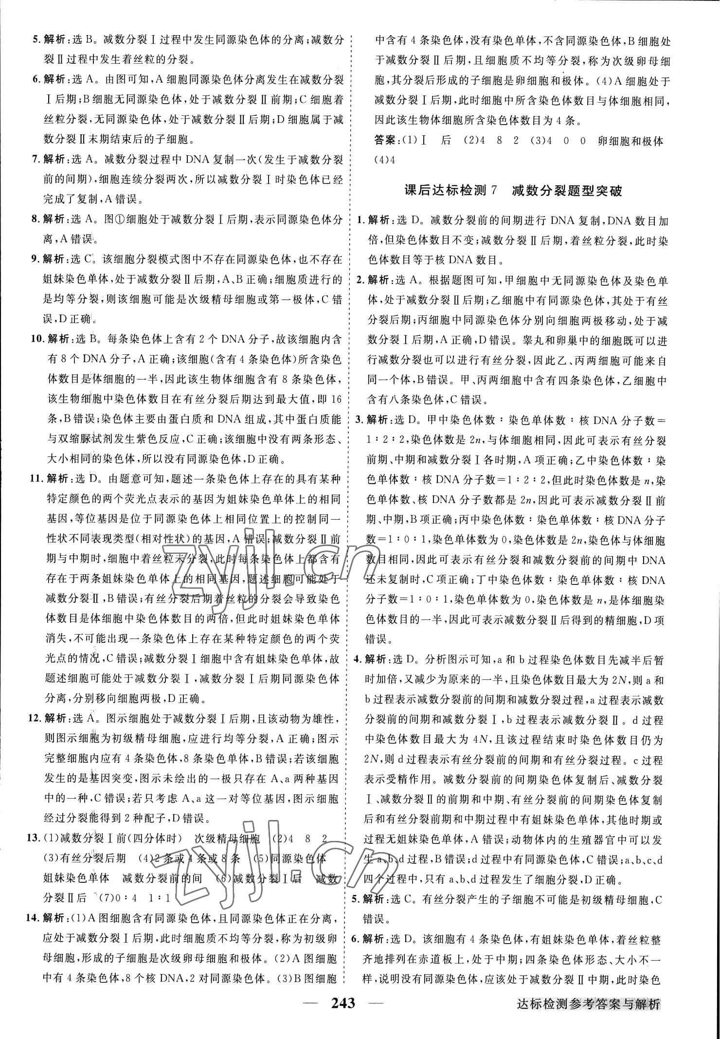 2023年高中同步創(chuàng)新課堂優(yōu)化方案生物必修第二冊人教版 參考答案第7頁