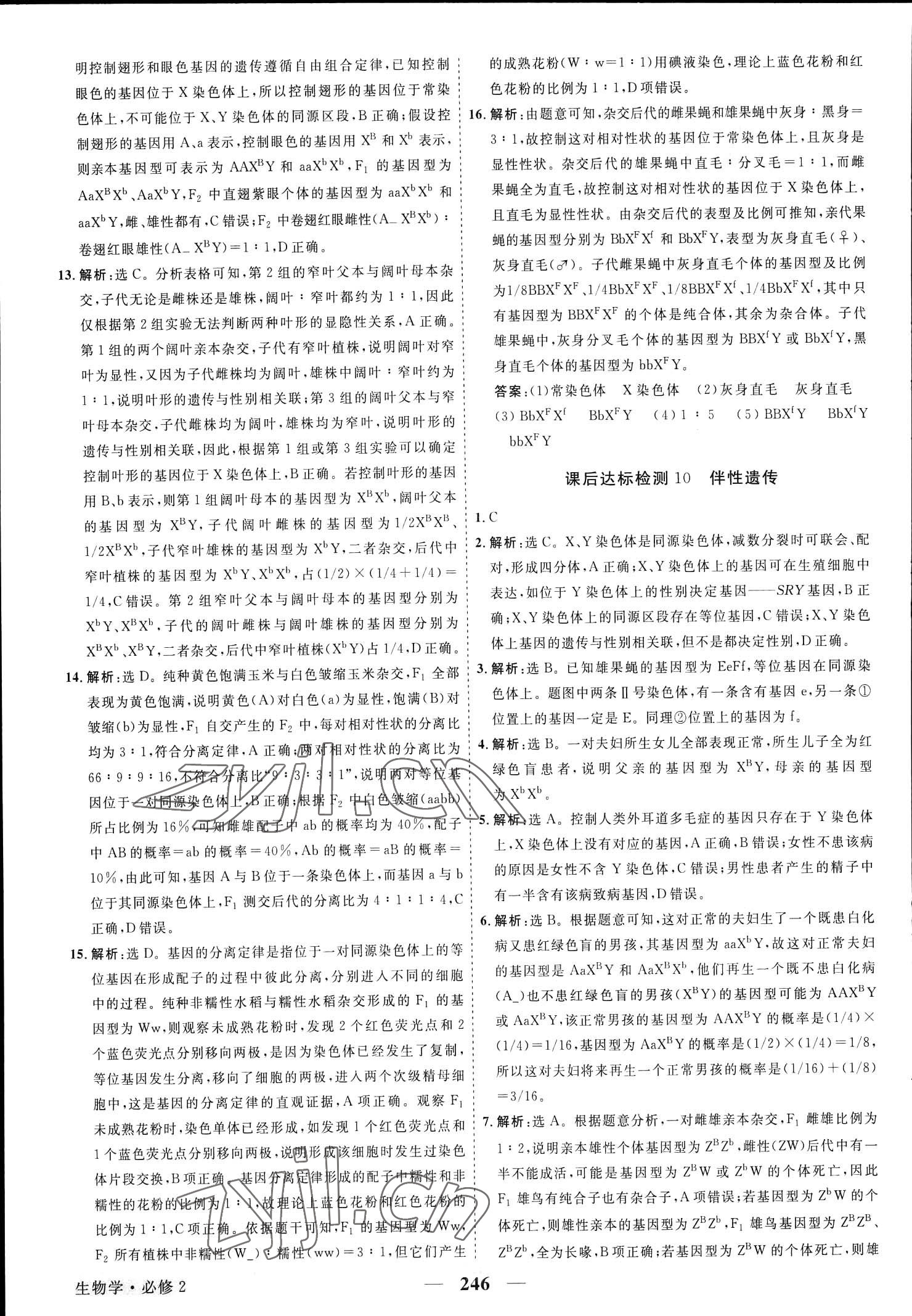 2023年高中同步創(chuàng)新課堂優(yōu)化方案生物必修第二冊(cè)人教版 參考答案第10頁(yè)