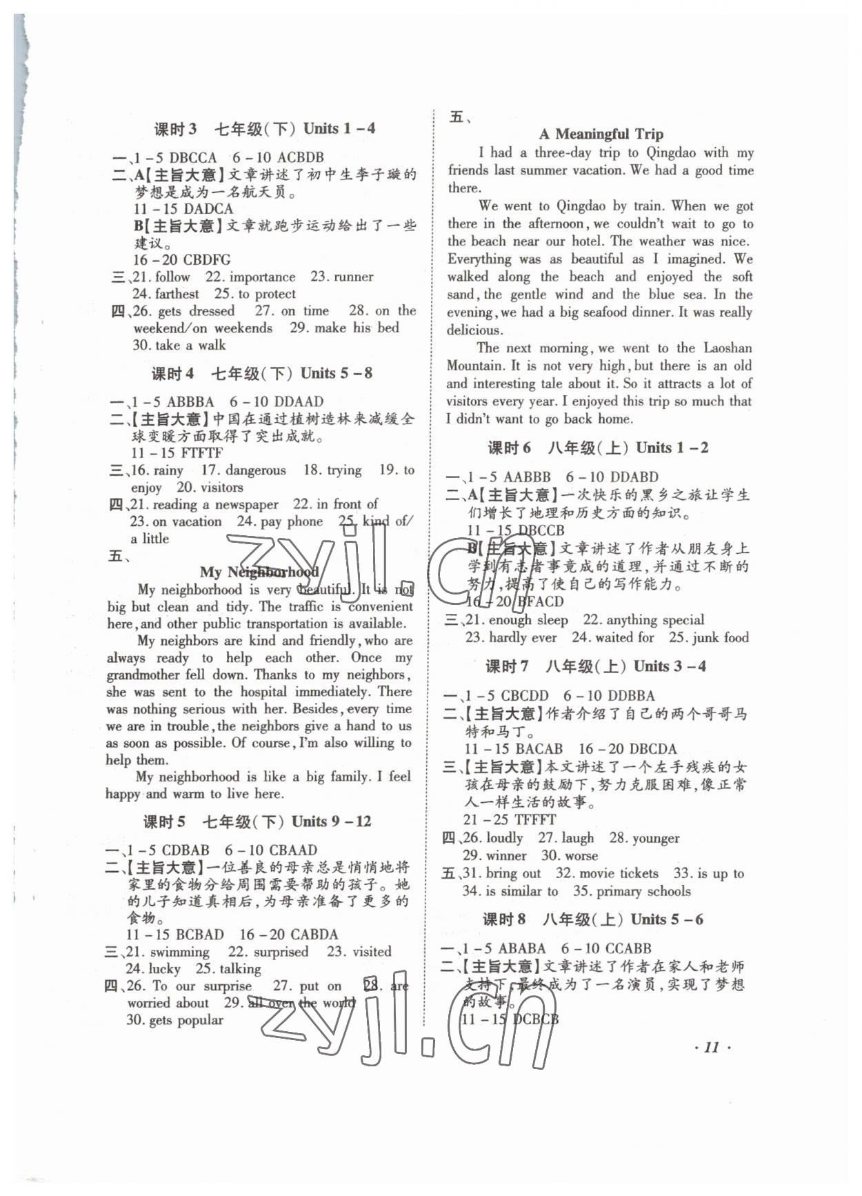 2023年本土攻略精準(zhǔn)復(fù)習(xí)方案英語中考云南專版 第11頁