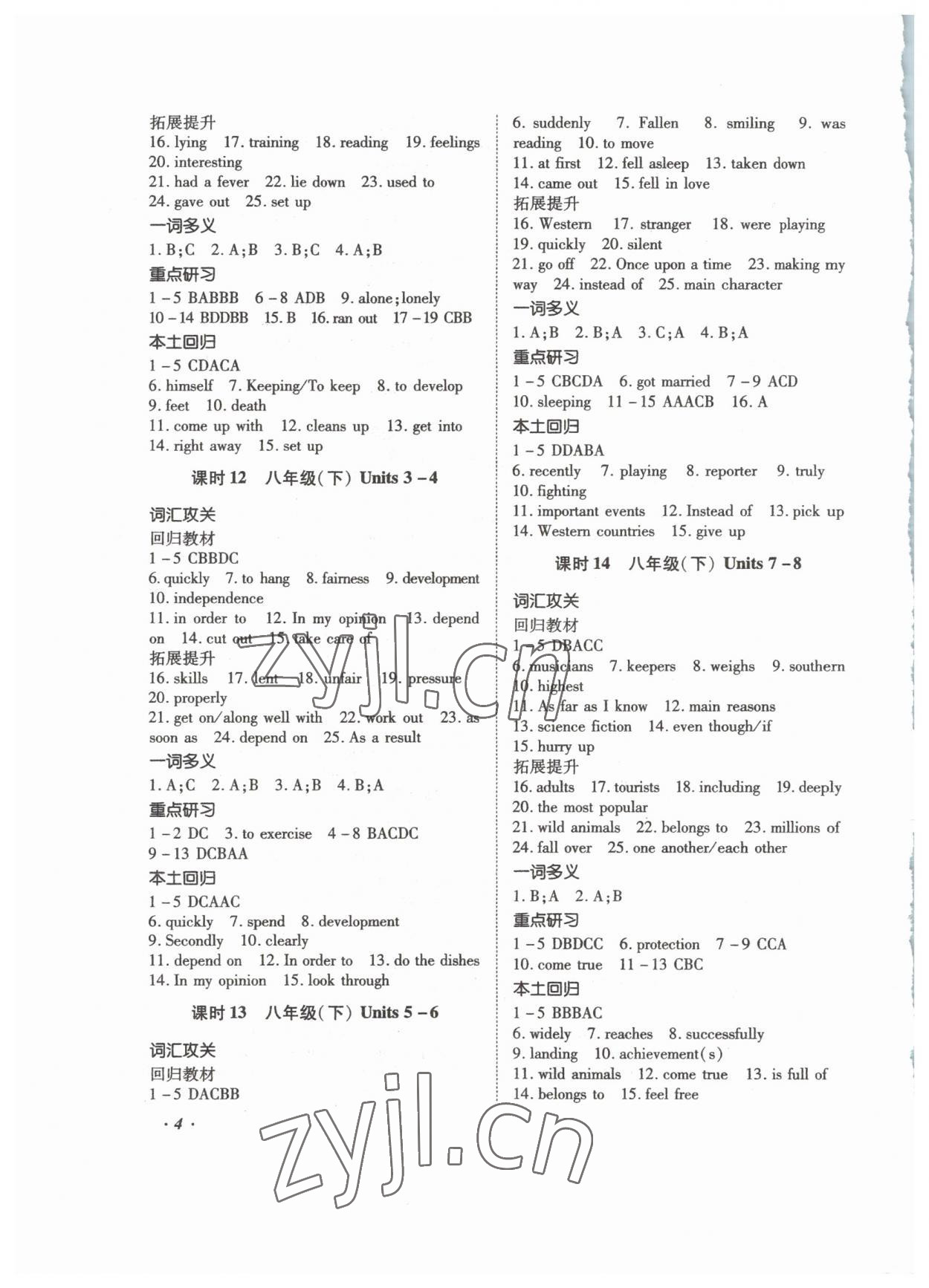 2023年本土攻略精準(zhǔn)復(fù)習(xí)方案英語中考云南專版 第4頁