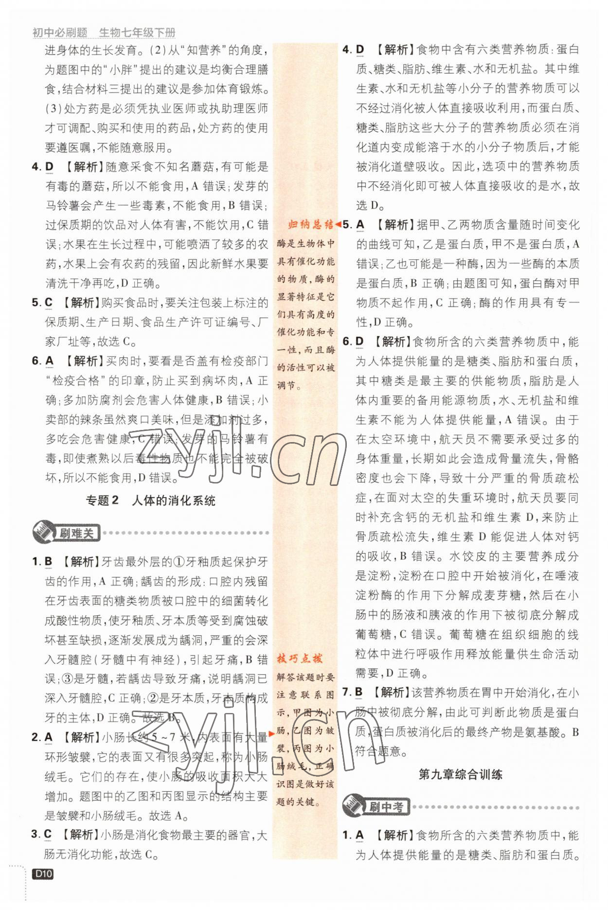 2023年初中必刷題七年級(jí)生物下冊(cè)蘇教版 參考答案第10頁(yè)