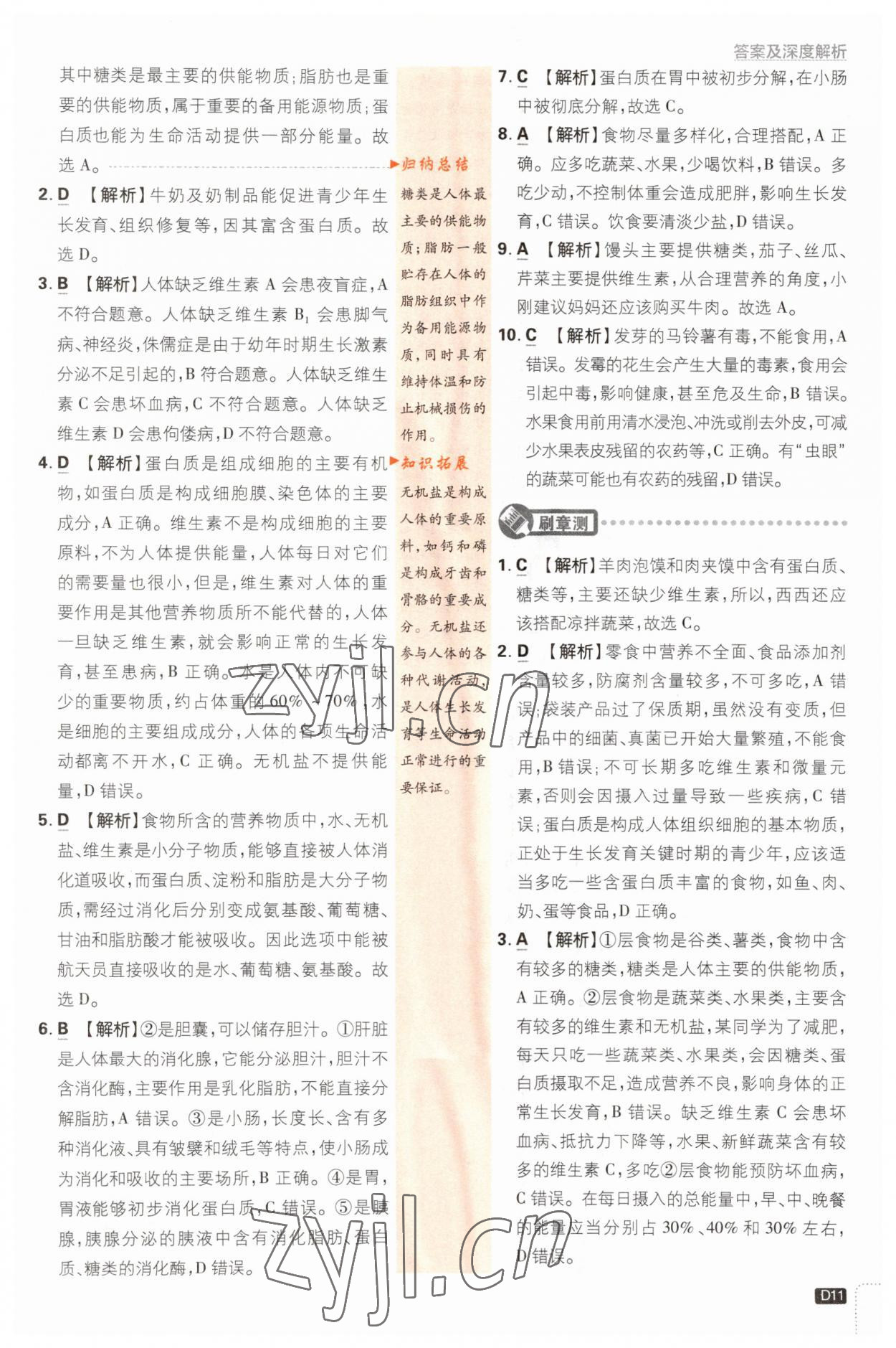 2023年初中必刷題七年級(jí)生物下冊(cè)蘇教版 參考答案第11頁(yè)