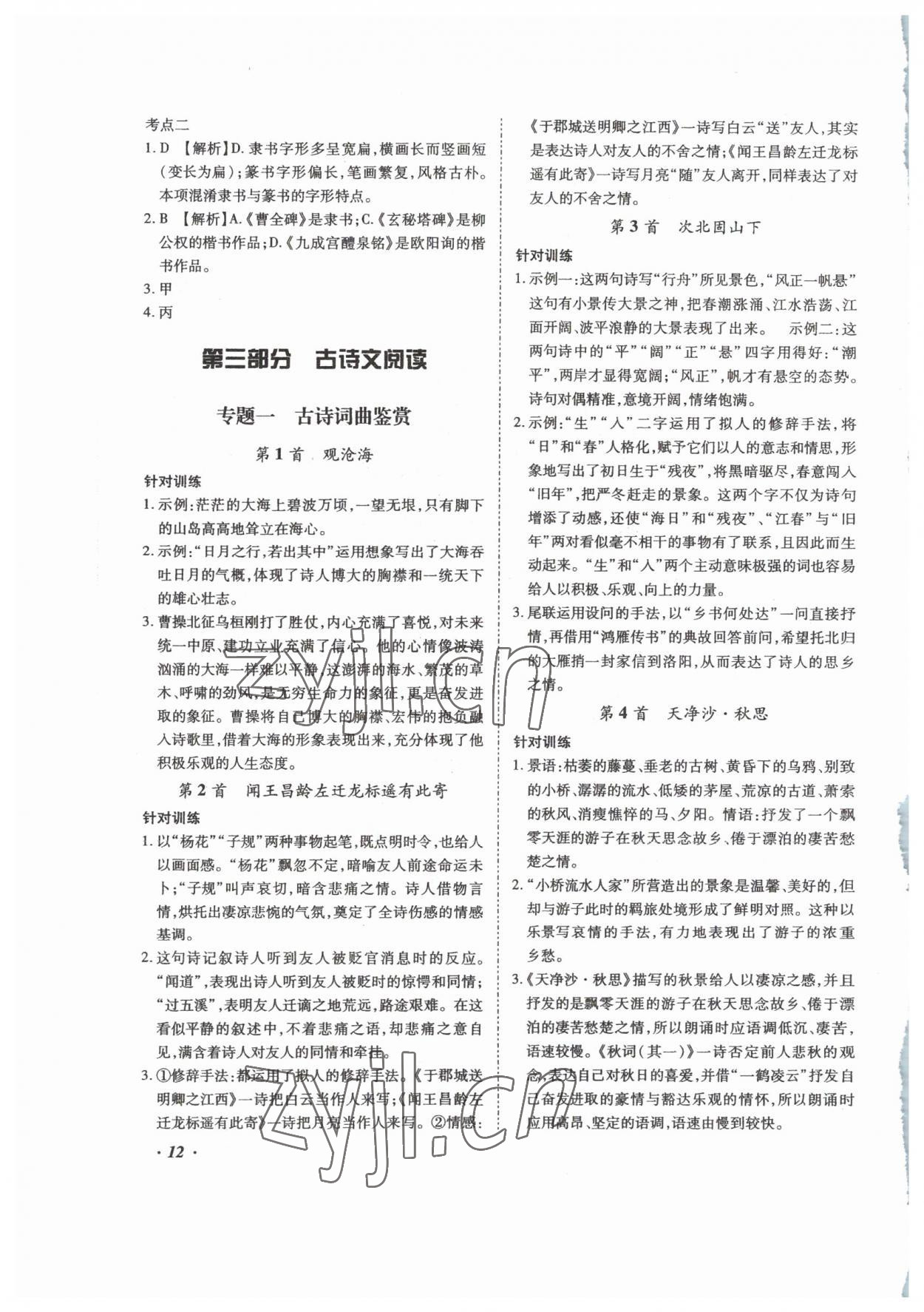 2023年本土攻略精準復(fù)習(xí)方案語文云南專版 第12頁