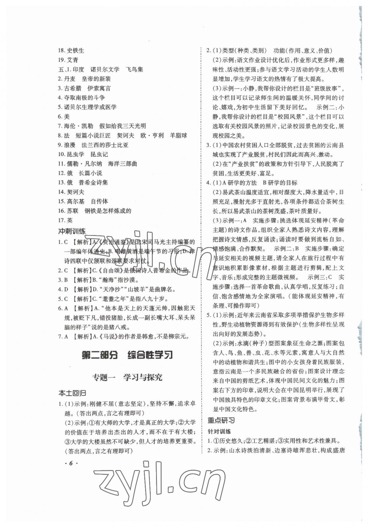 2023年本土攻略精準復習方案語文云南專版 第6頁