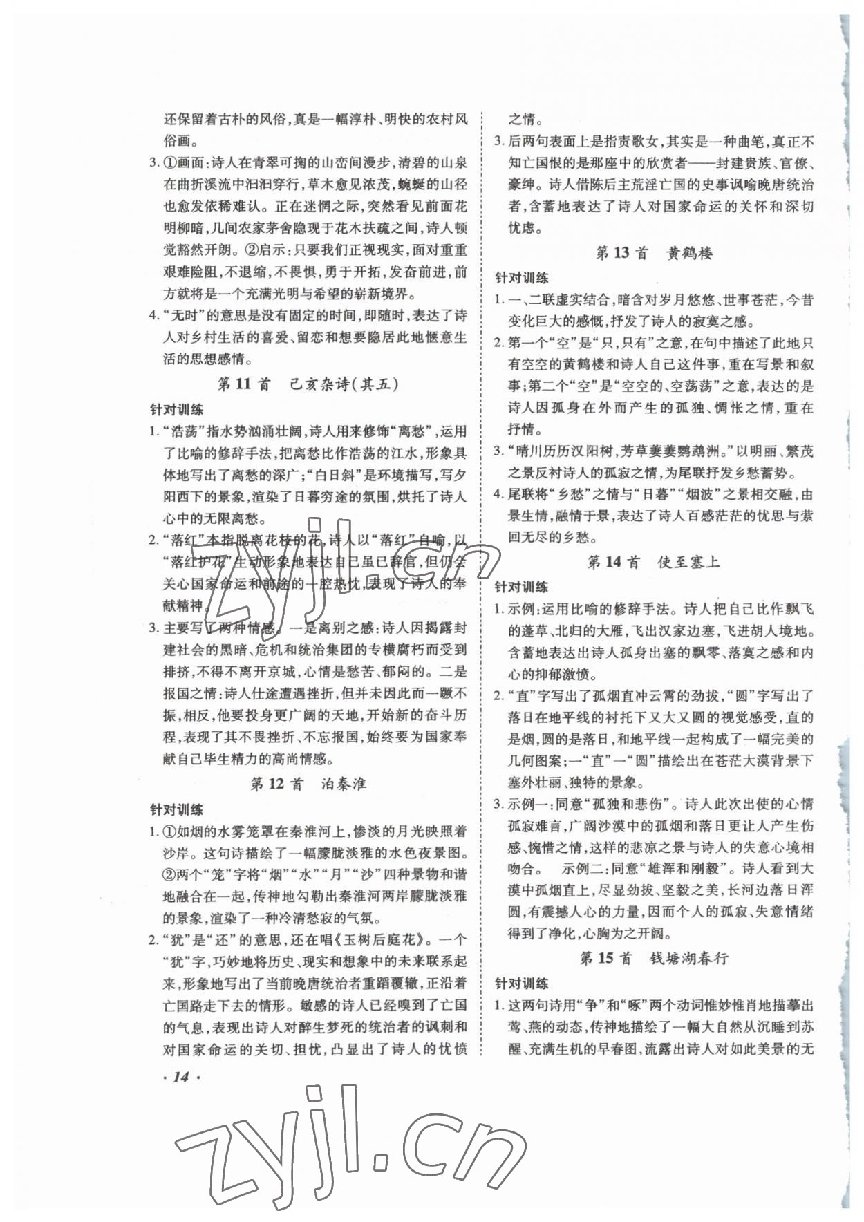 2023年本土攻略精準復(fù)習方案語文云南專版 第14頁