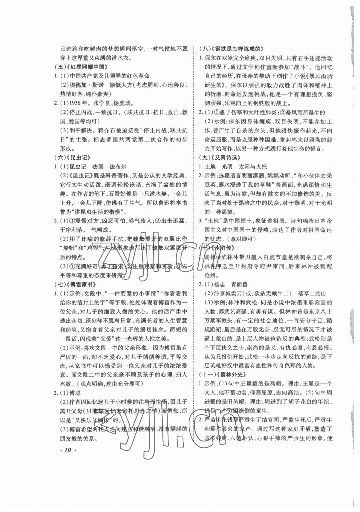2023年本土攻略精準(zhǔn)復(fù)習(xí)方案語文云南專版 第10頁