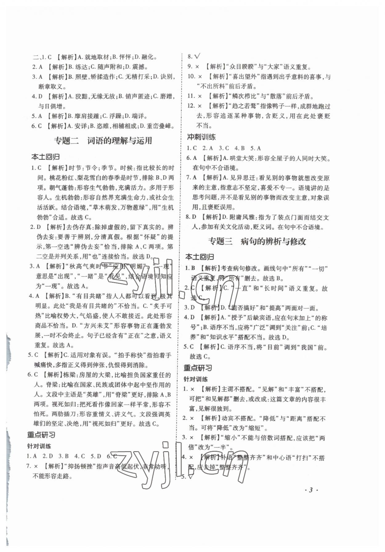 2023年本土攻略精準(zhǔn)復(fù)習(xí)方案語文云南專版 第3頁