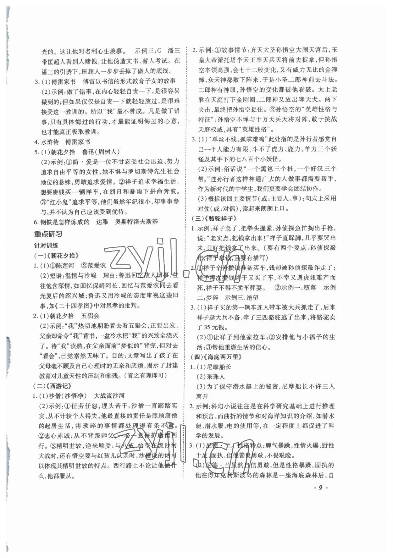 2023年本土攻略精準(zhǔn)復(fù)習(xí)方案語文云南專版 第9頁
