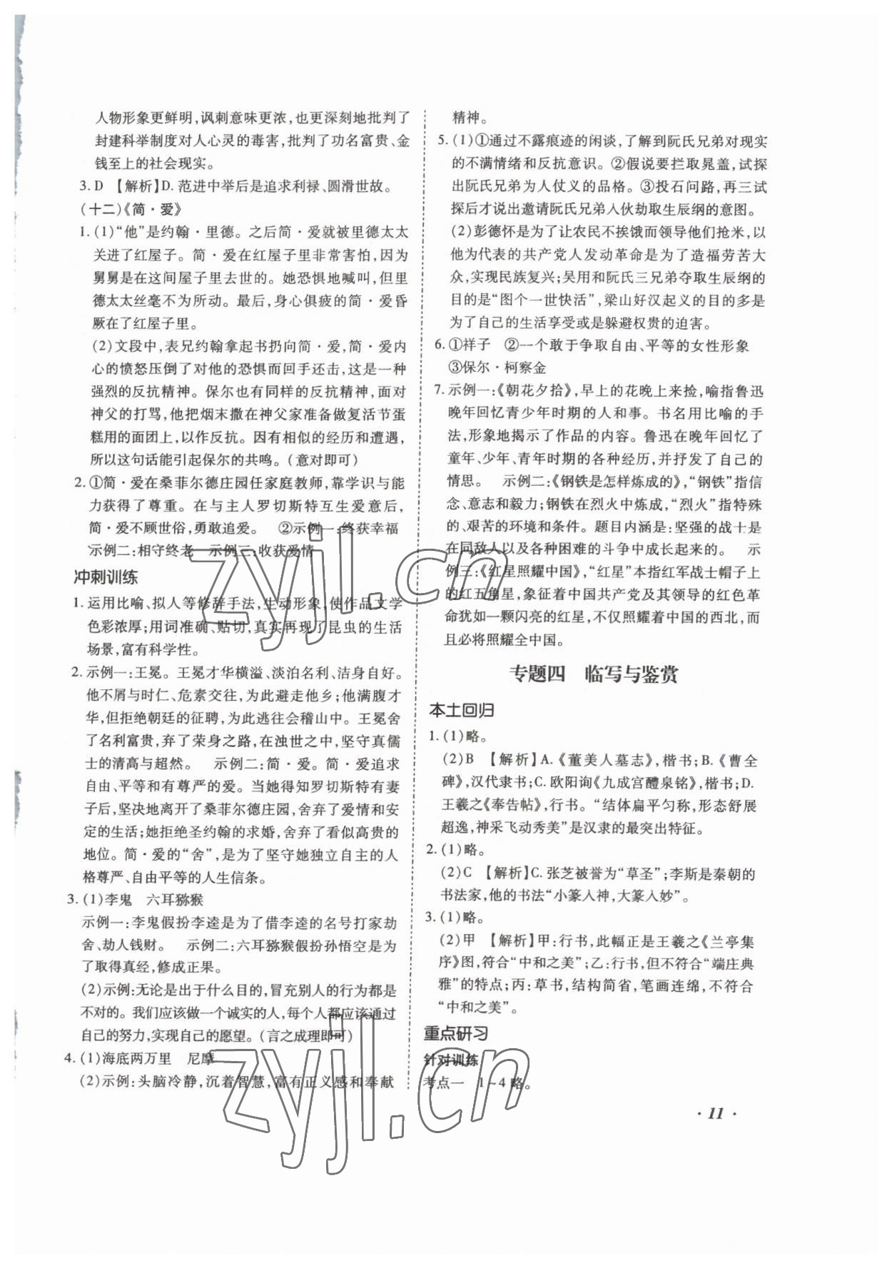 2023年本土攻略精準(zhǔn)復(fù)習(xí)方案語(yǔ)文云南專版 第11頁(yè)