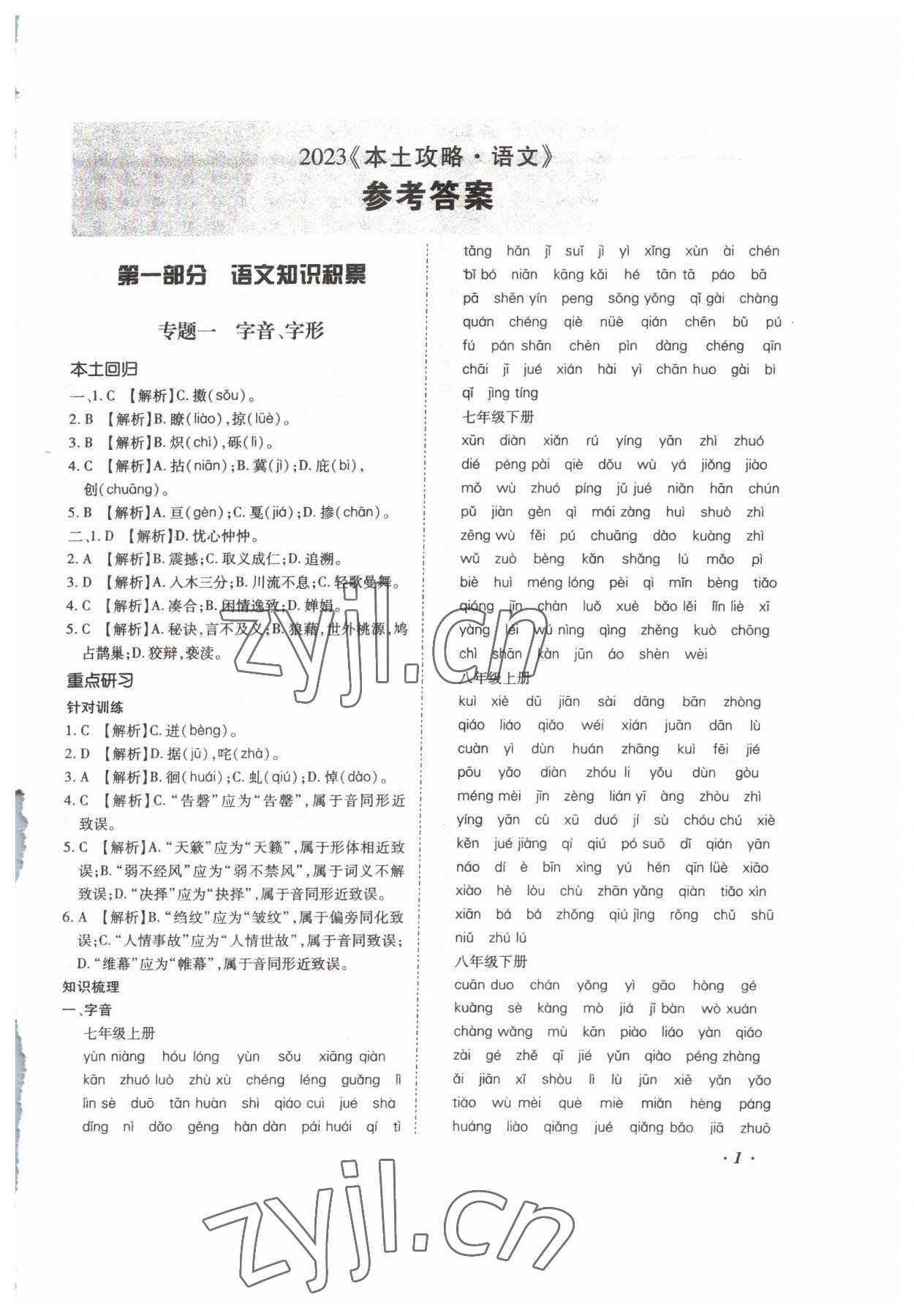 2023年本土攻略精準復習方案語文云南專版 第1頁
