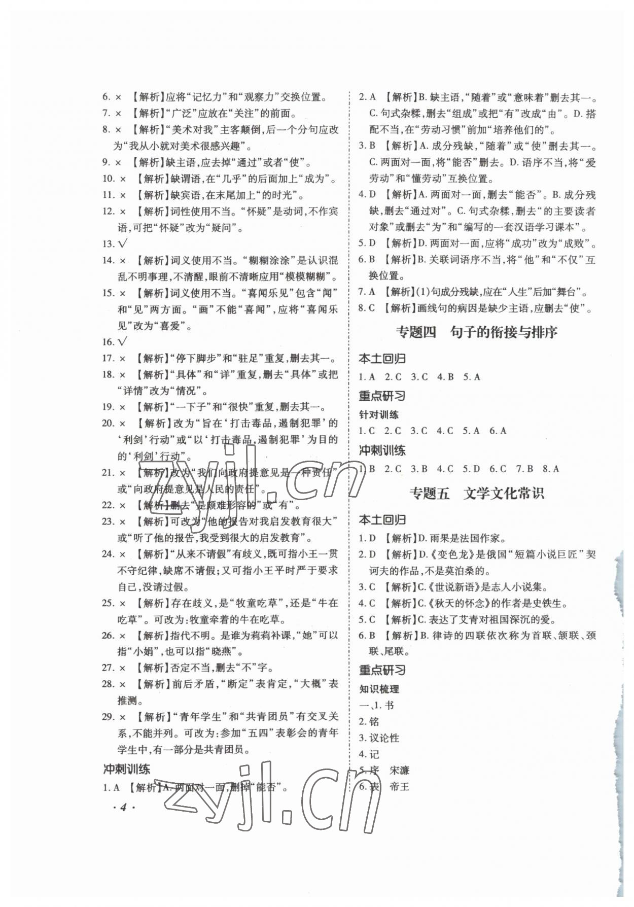 2023年本土攻略精準(zhǔn)復(fù)習(xí)方案語文云南專版 第4頁