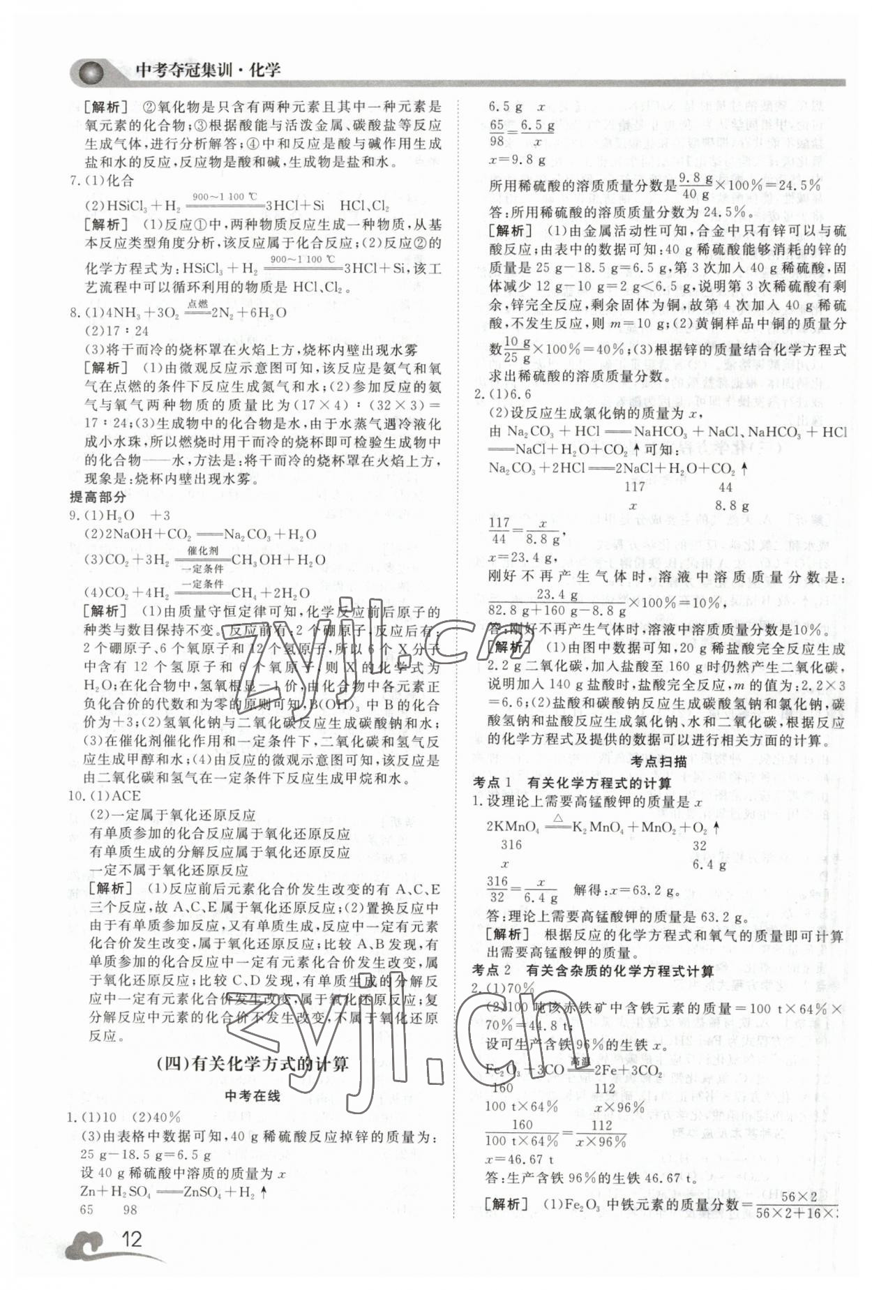 2023年中考夺冠集训化学&nbsp;第12页