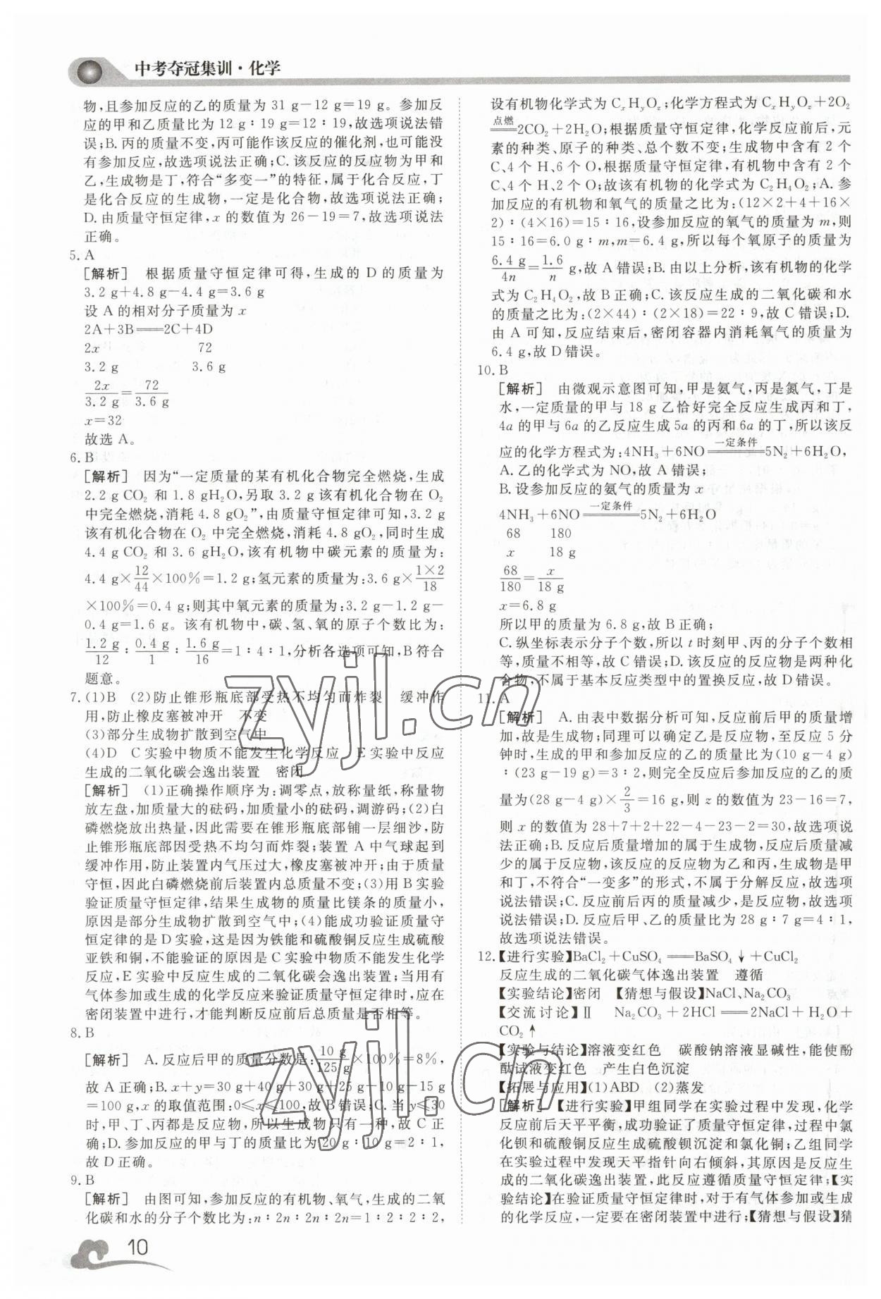 2023年中考夺冠集训化学&nbsp;第10页