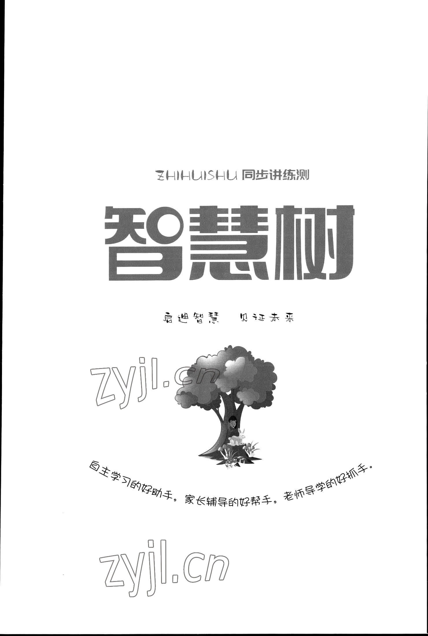 2023年智慧树同步讲练测五年级数学下册苏教版 参考答案第2页