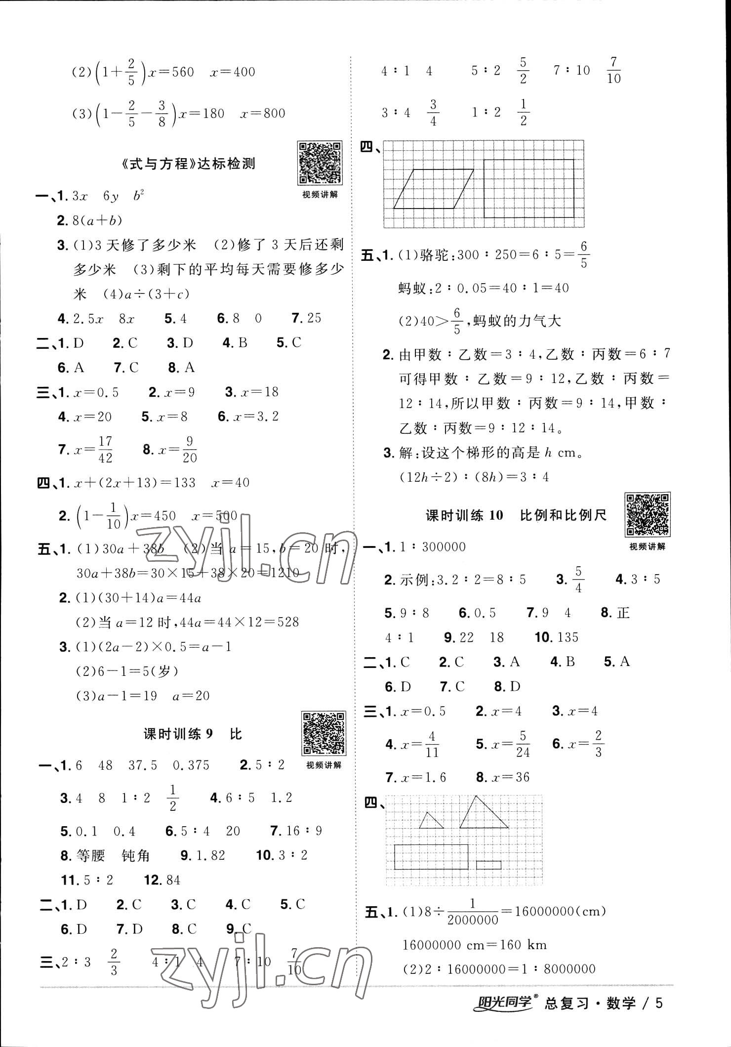 2023年陽光同學(xué)小學(xué)畢業(yè)升學(xué)系統(tǒng)總復(fù)習(xí)數(shù)學(xué) 參考答案第5頁