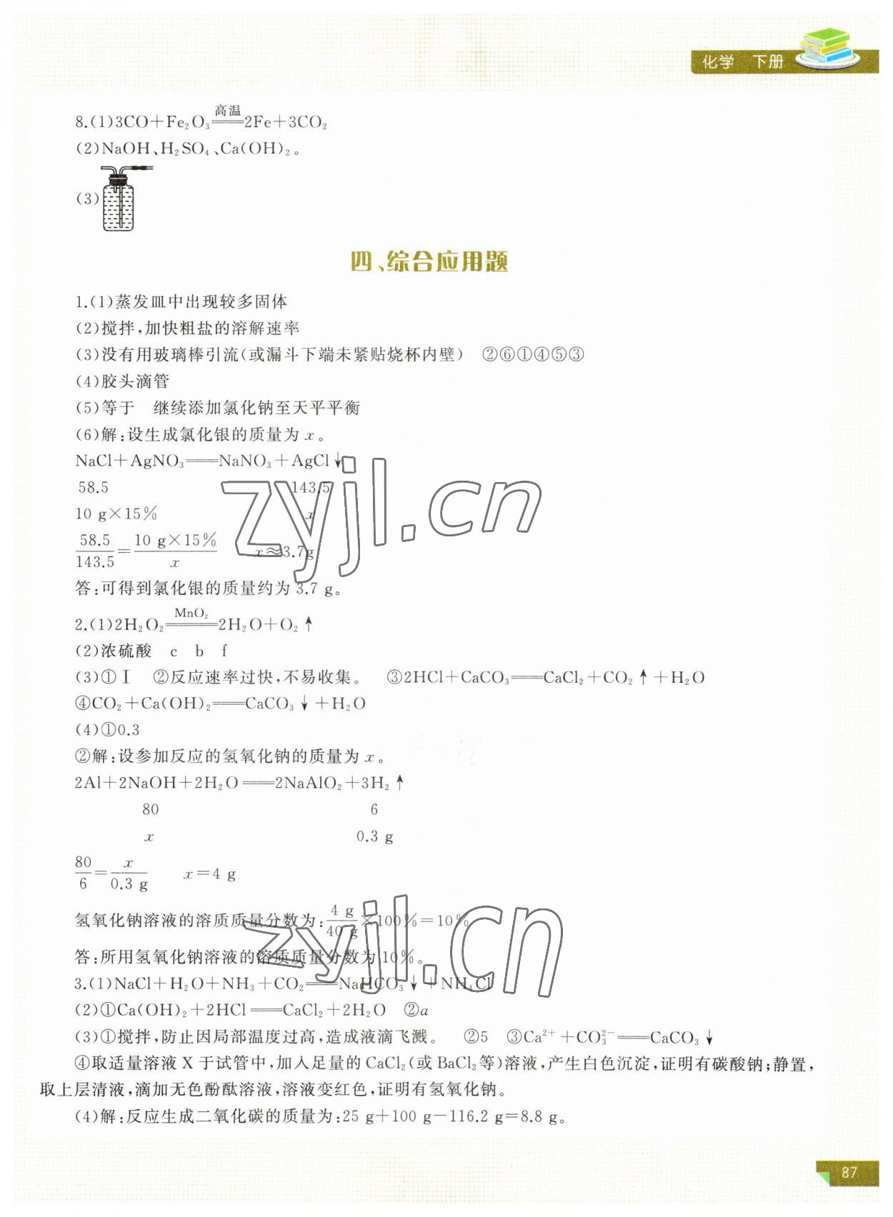 2023年河南省初中学业水平考试解析与检测化学下册 第3页