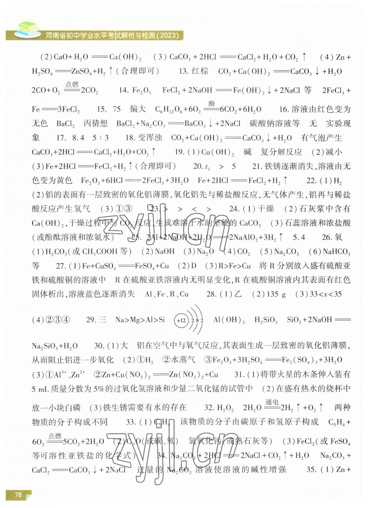 2023年河南省初中學(xué)業(yè)水平考試解析與檢測(cè)化學(xué)上冊(cè) 第2頁(yè)