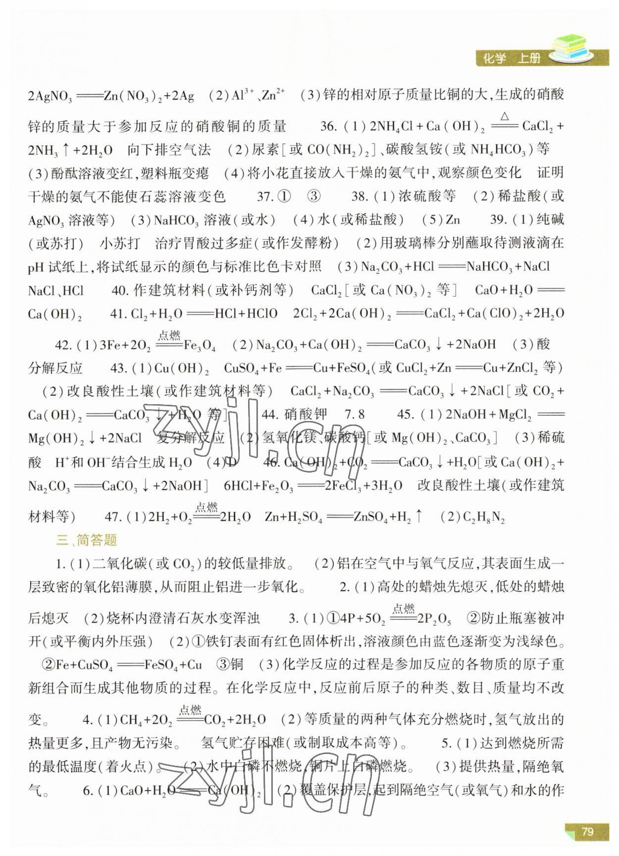 2023年河南省初中學(xué)業(yè)水平考試解析與檢測(cè)化學(xué)上冊(cè) 第3頁