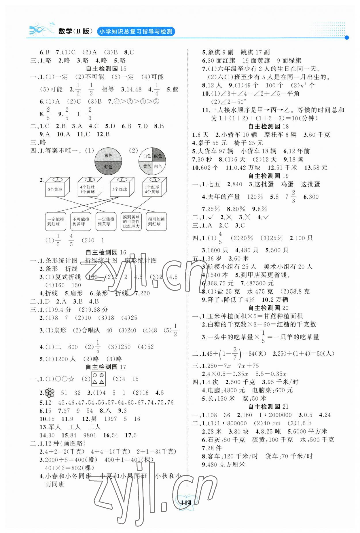 2023年大顯身手小學(xué)知識總復(fù)習(xí)指導(dǎo)與檢測數(shù)學(xué)人教版B版 參考答案第3頁