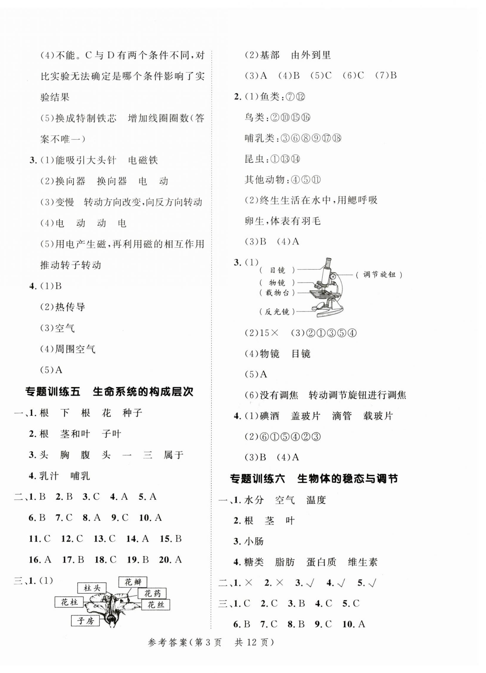 2023年新領(lǐng)程小學(xué)總復(fù)習(xí)高效練案科學(xué) 第3頁