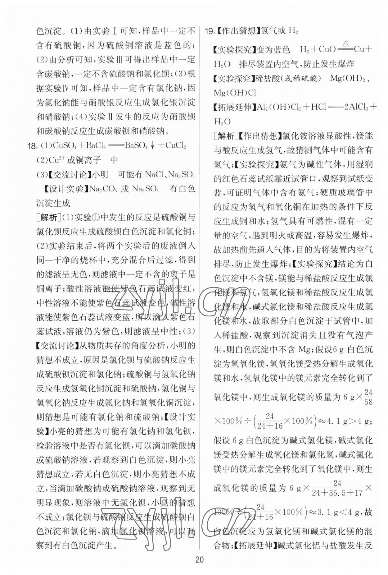 2023年實(shí)驗(yàn)班提優(yōu)大考卷九年級化學(xué)下冊人教版 第20頁