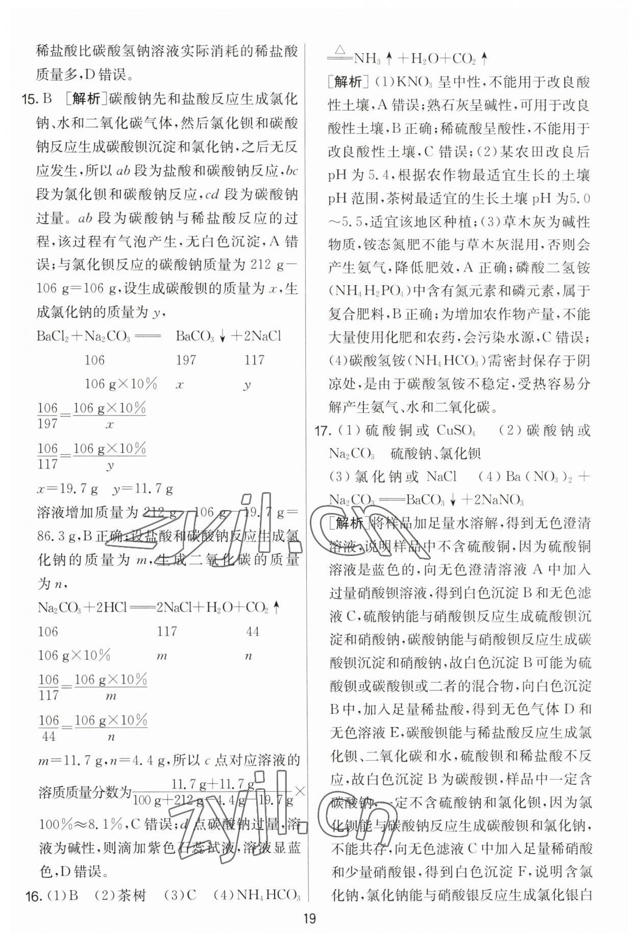 2023年實(shí)驗(yàn)班提優(yōu)大考卷九年級(jí)化學(xué)下冊(cè)人教版 第19頁(yè)