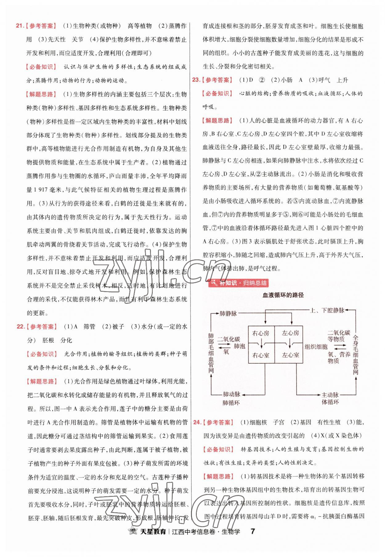 2023年金考卷百校聯(lián)盟系列江西中考信息卷生物 第7頁