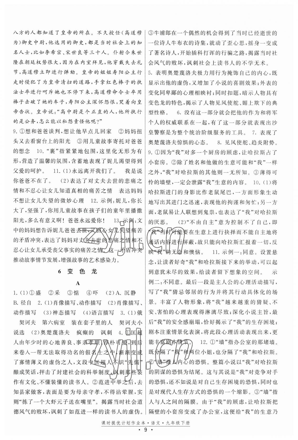 2023年課時提優(yōu)計劃作業(yè)本九年級語文下冊人教版版次2023.1月 第9頁