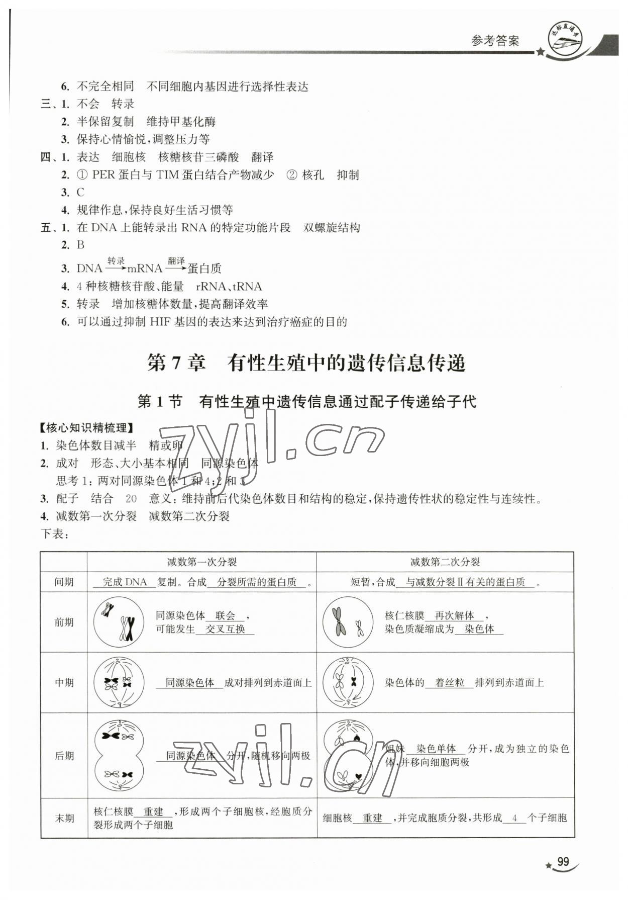2023年達(dá)標(biāo)直通車高中生物必修2滬教版 第3頁
