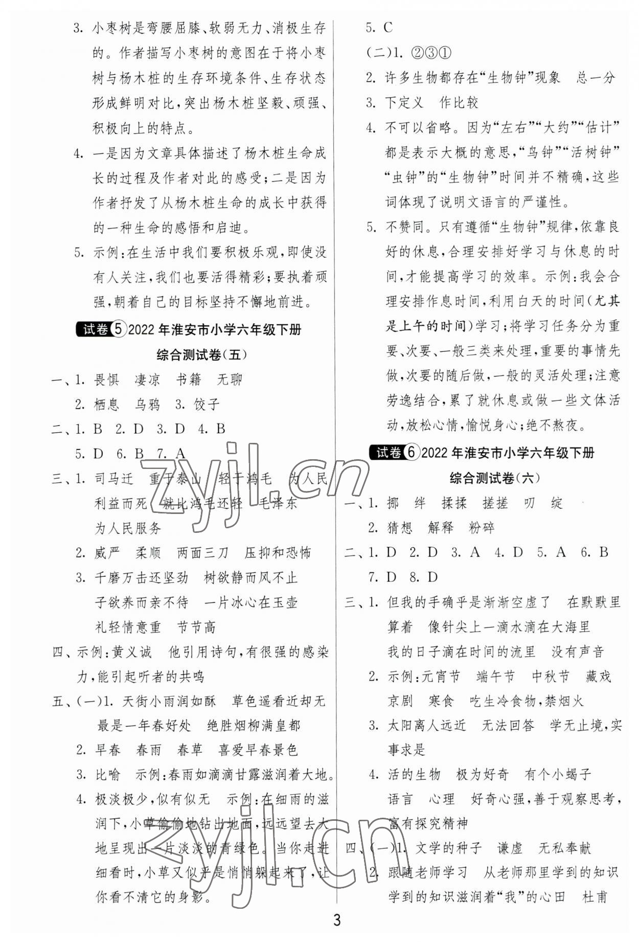 2023年考必胜小学毕业升学考试试卷精选语文淮安专版 第3页